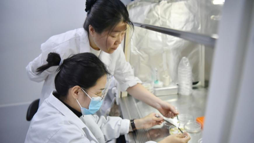 胡静老公年轻时颜值,二四六天天彩资料大全报码开奖,社会责任方案执行_增强版V1.50